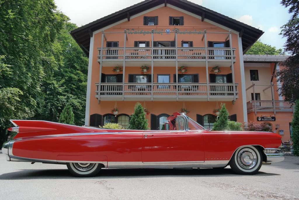 Hotel Waldgasthof Buchenhain Baierbrunn Bagian luar foto